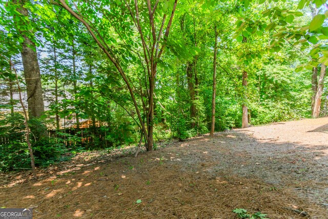 2205 Parliament Dr, Lawrenceville, GA 30043 - view of tree filled area