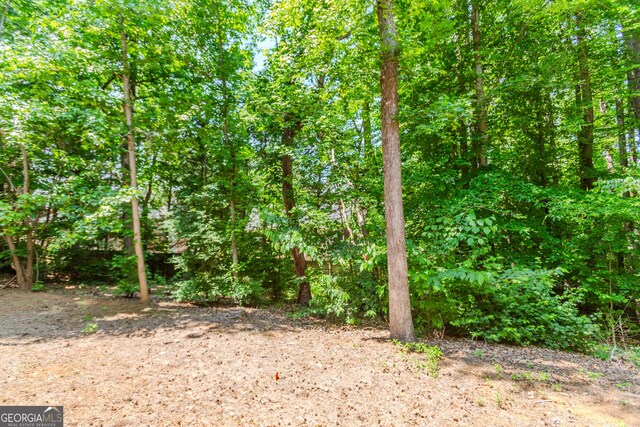2205 Parliament Dr, Lawrenceville, GA 30043 - view of nature