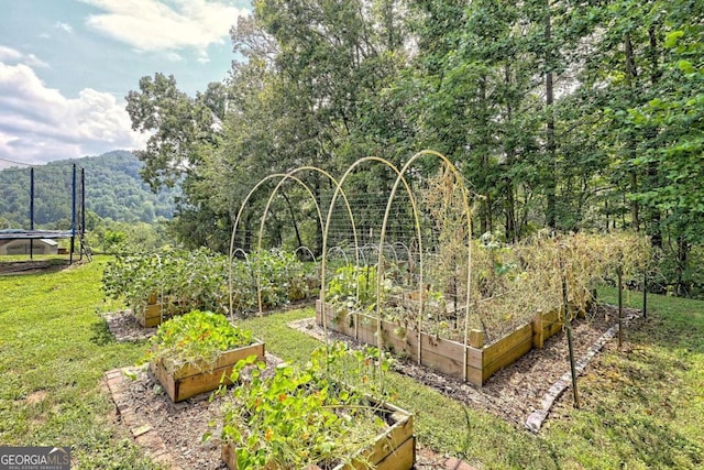 view of yard featuring a view of trees, a trampoline, and a vegetable garden