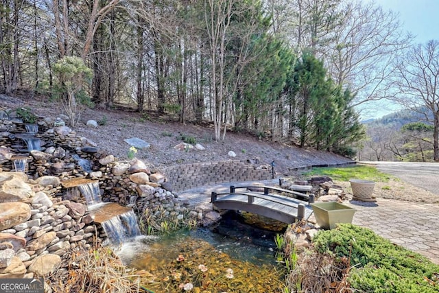 view of yard featuring a forest view