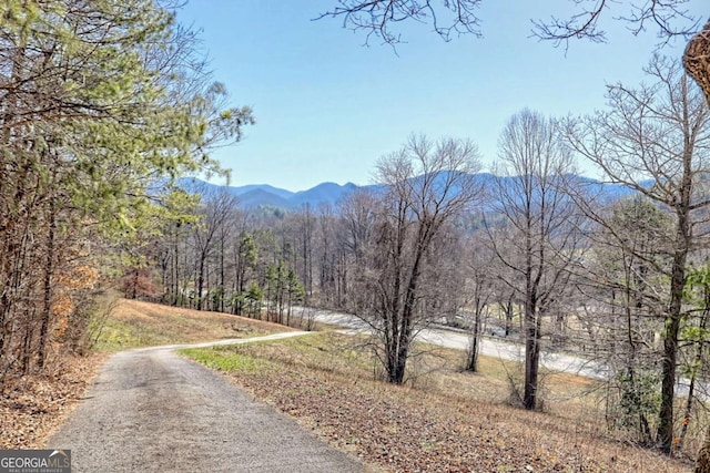 mountain view featuring a wooded view