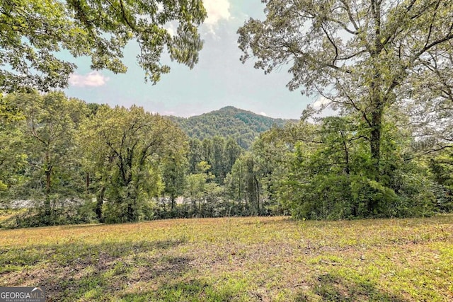 view of mountain feature with a forest view