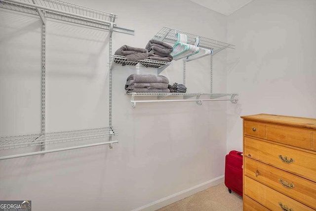 spacious closet with light carpet