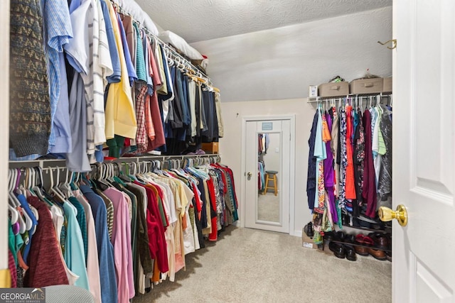 spacious closet with carpet