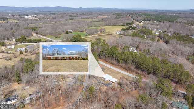 bird's eye view featuring a mountain view