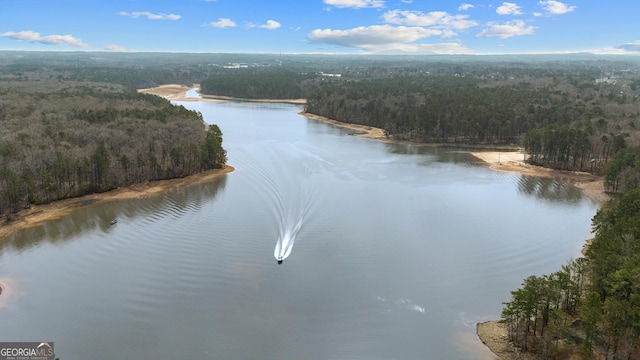 property view of water featuring a view of trees