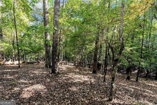 view of landscape with a forest view