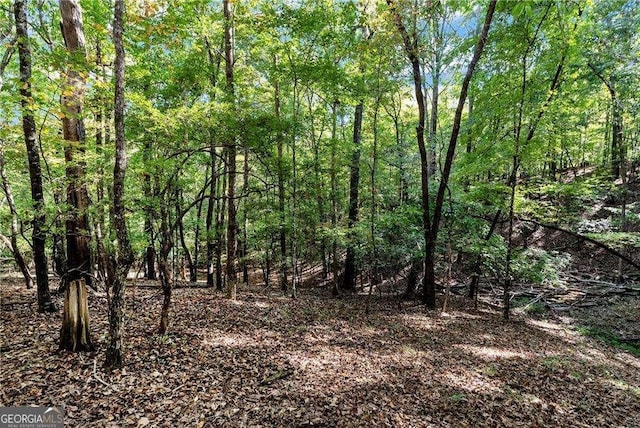 view of local wilderness featuring a wooded view