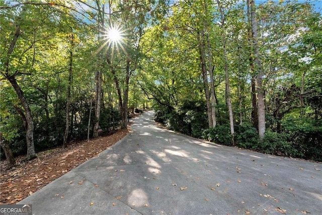 view of street featuring a view of trees