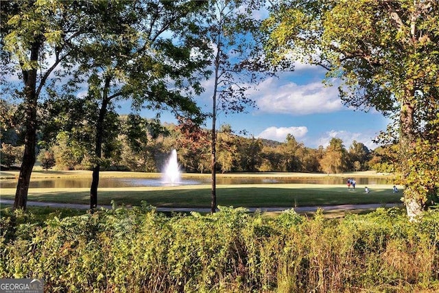 view of home's community with a yard and a water view