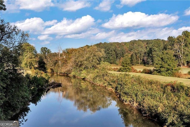 property view of water featuring a view of trees