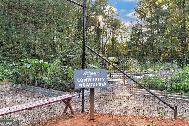 exterior space with a vegetable garden