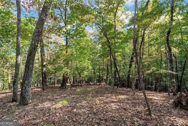 view of landscape featuring a wooded view