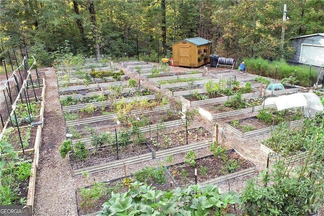 view of yard featuring a vegetable garden, a storage shed, and an outdoor structure