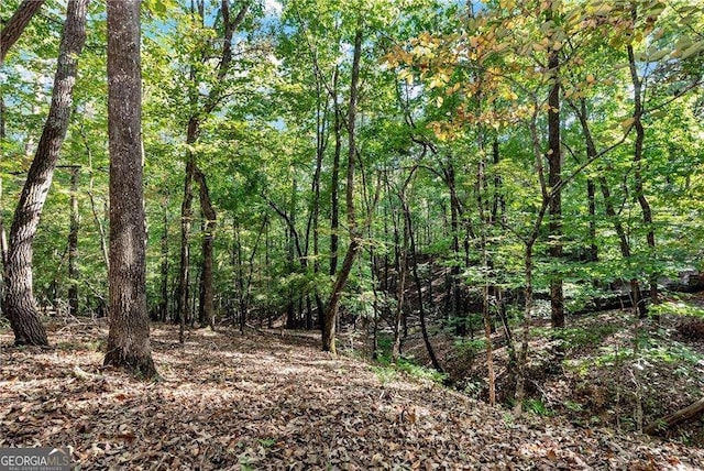 view of landscape featuring a wooded view