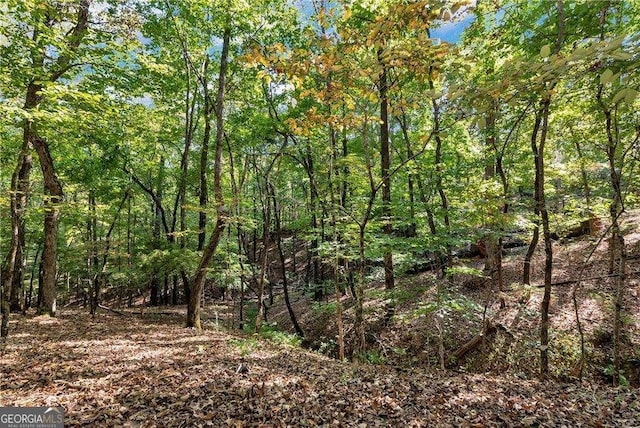 view of nature featuring a view of trees