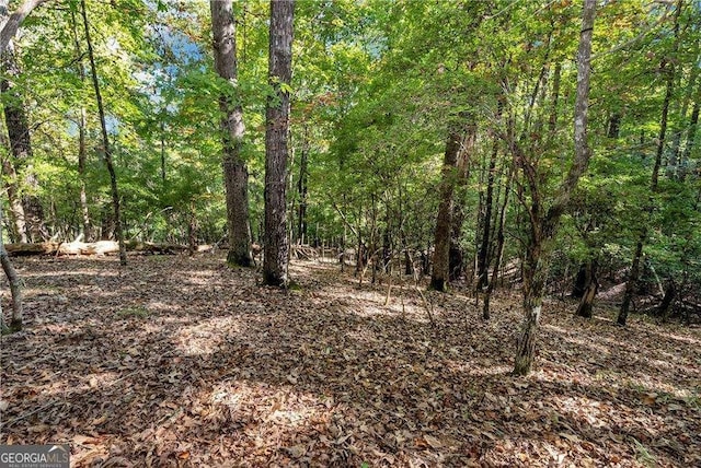 view of nature with a wooded view