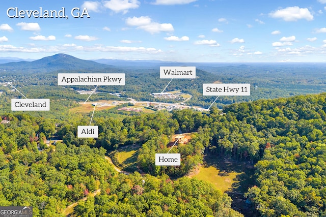 birds eye view of property with a mountain view and a forest view