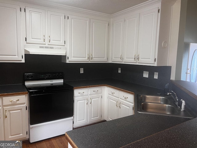 kitchen with a sink, black electric range, white cabinets, under cabinet range hood, and dark countertops