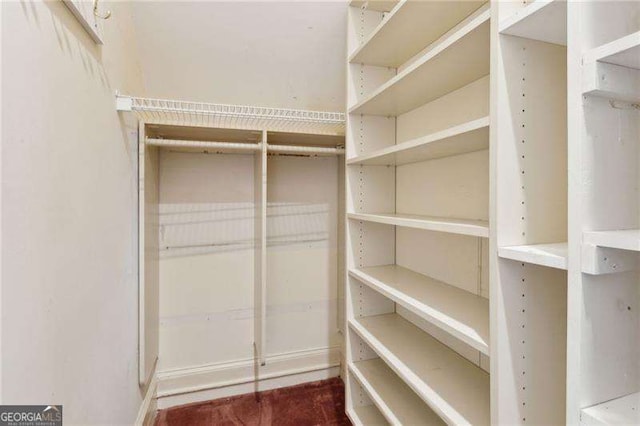 view of walk in closet