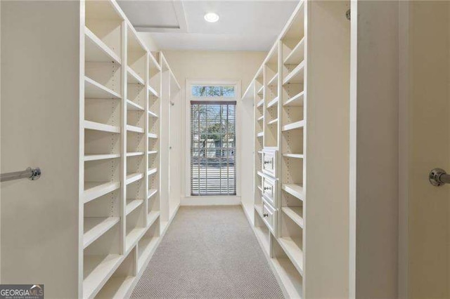 walk in closet with carpet flooring