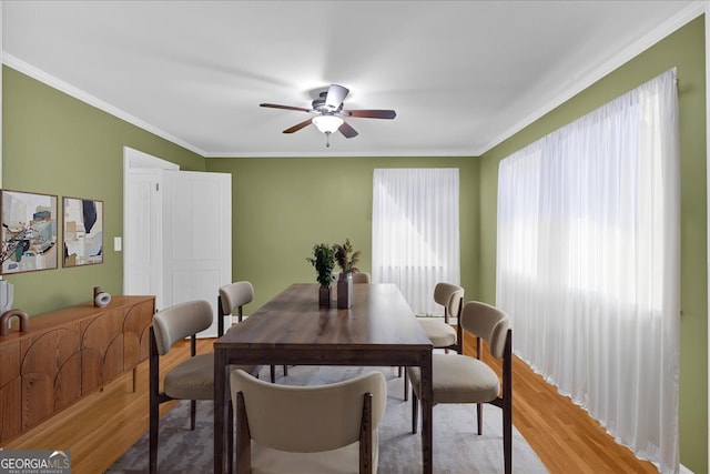 dining space featuring a ceiling fan, light wood-style floors, and ornamental molding