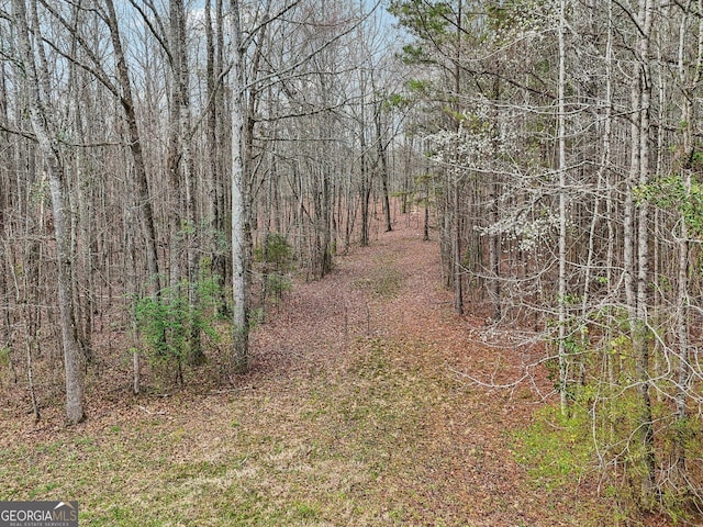 view of local wilderness featuring a forest view