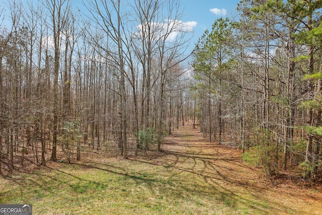 view of landscape with a wooded view