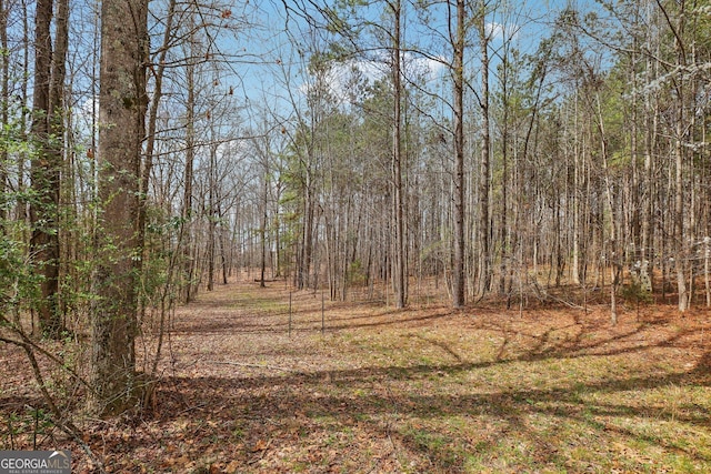 view of nature featuring a forest view