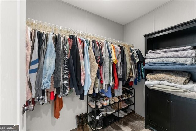 walk in closet featuring wood finished floors