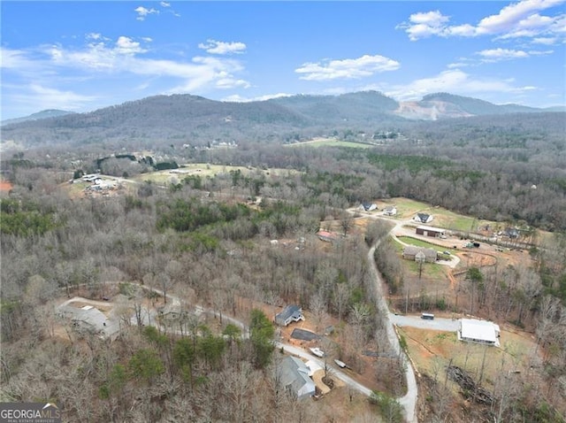 birds eye view of property featuring a mountain view