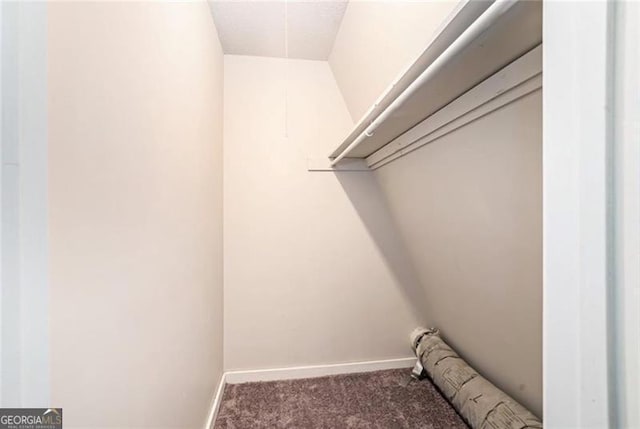 walk in closet with carpet flooring