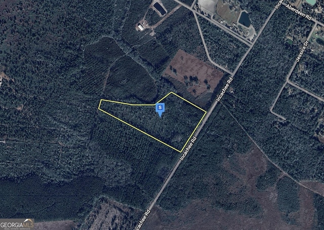 2581 Incachee Rd, Waverly GA, 31565 land for sale