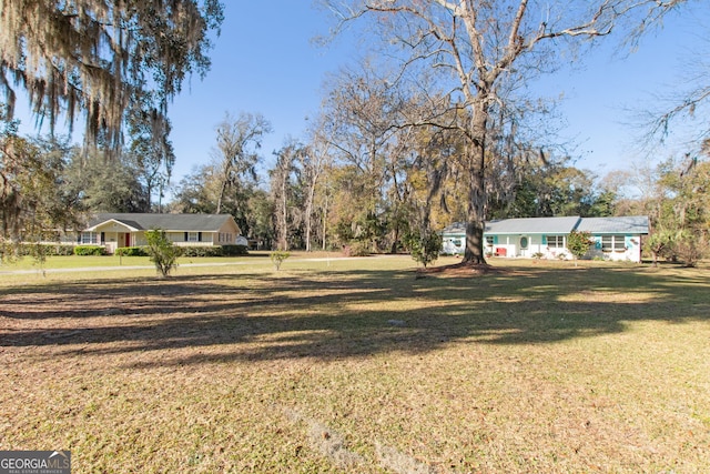 view of yard