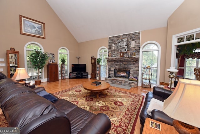 living room featuring a wealth of natural light, a fireplace, and wood finished floors