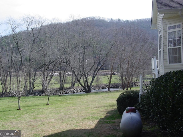 view of yard featuring a view of trees