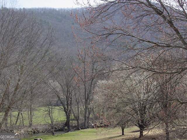 view of community featuring a yard and a wooded view