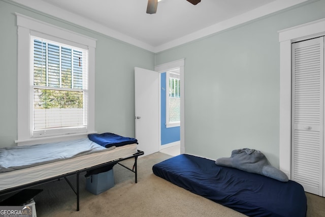 bedroom featuring carpet flooring, a ceiling fan, and a closet