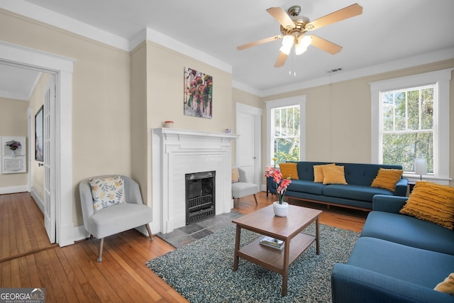 living area featuring plenty of natural light, hardwood / wood-style floors, and crown molding