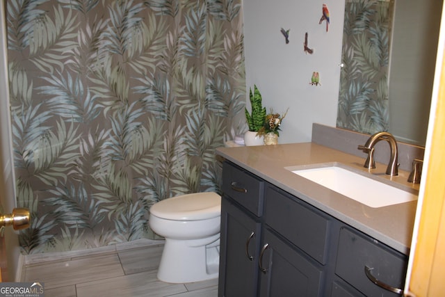 bathroom with toilet and vanity