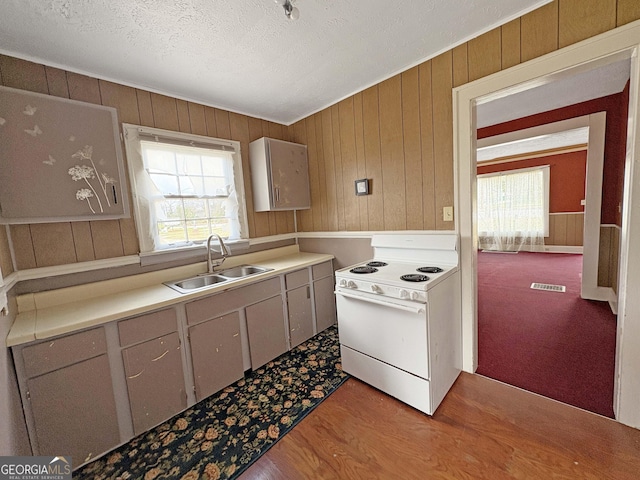 kitchen featuring visible vents, white range with electric cooktop, light wood-style flooring, a textured ceiling, and a sink