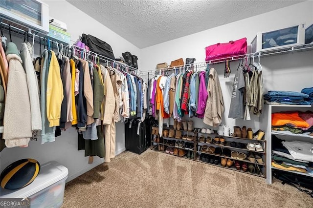 walk in closet featuring carpet flooring