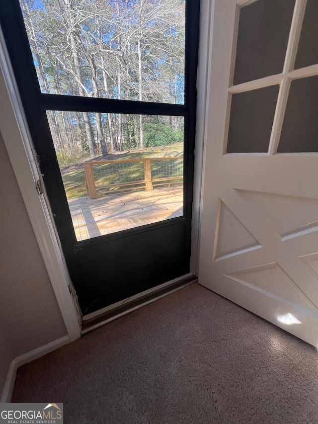 doorway with carpet and a healthy amount of sunlight