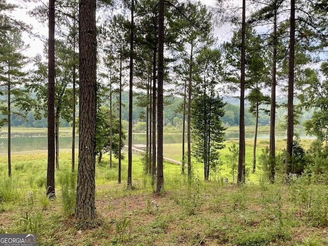 view of local wilderness with a water view