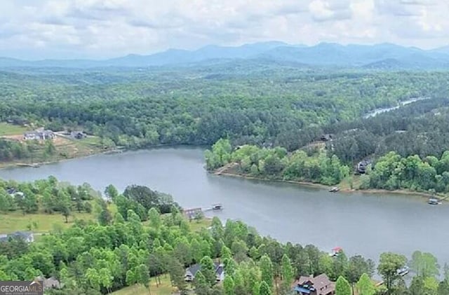 bird's eye view featuring a view of trees and a water and mountain view