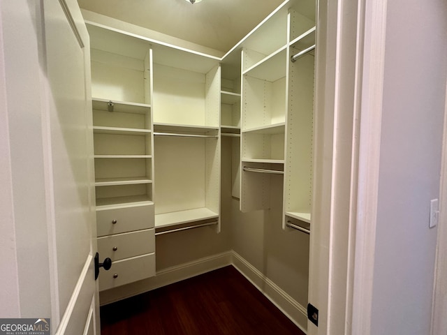 walk in closet featuring dark wood finished floors