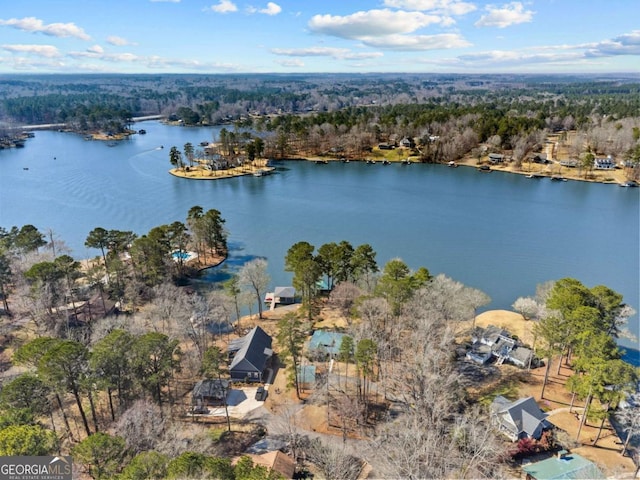 birds eye view of property featuring a water view and a view of trees