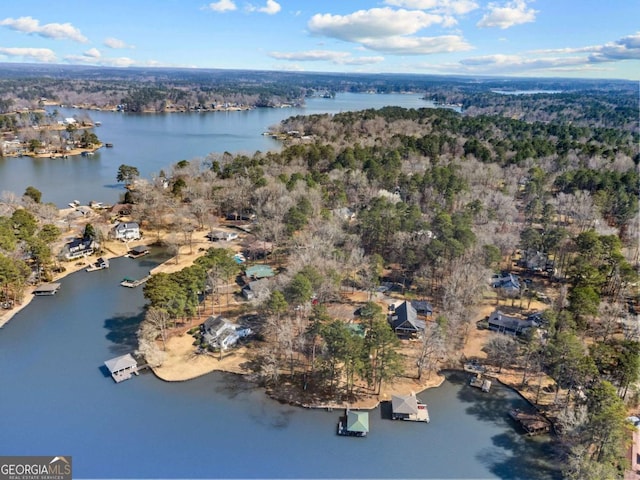 birds eye view of property with a forest view and a water view