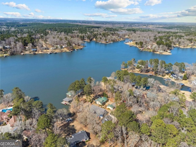 aerial view with a view of trees and a water view