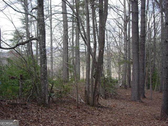 Listing photo 2 for TRACT3 Hf Lyons Rd, Hiawassee GA 30546